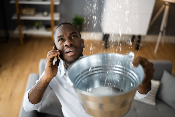 Best Water damage restoration company  in Frazee, MN