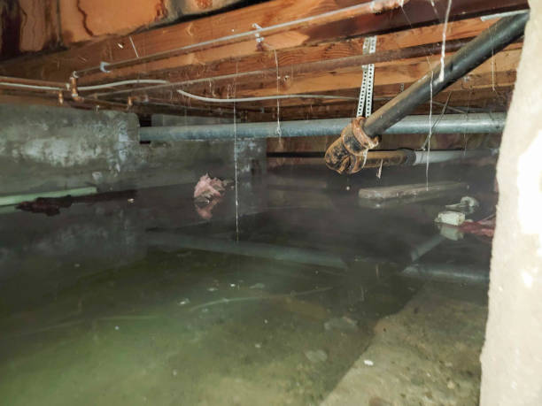 Professional Water damage restoration in Frazee, MN