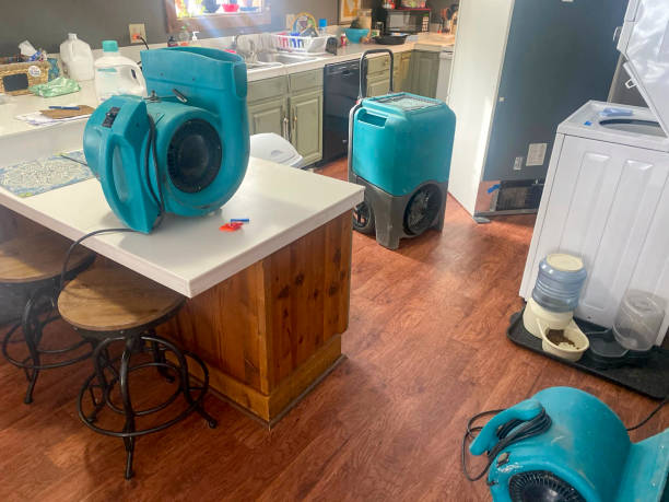 Best Water damage repair service  in Frazee, MN