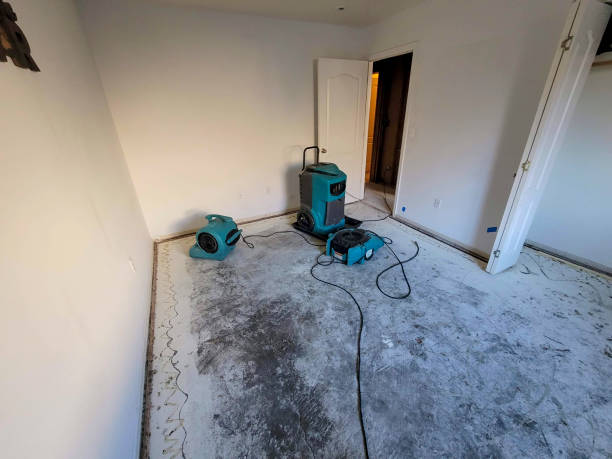  Frazee, MN Water damage restoration Pros