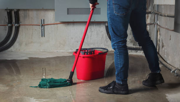 Best Flood restoration services  in Frazee, MN