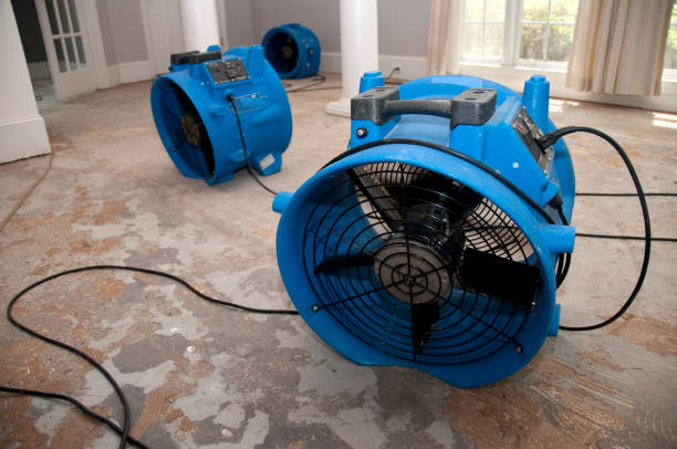Best Water damage restoration near me  in Frazee, MN