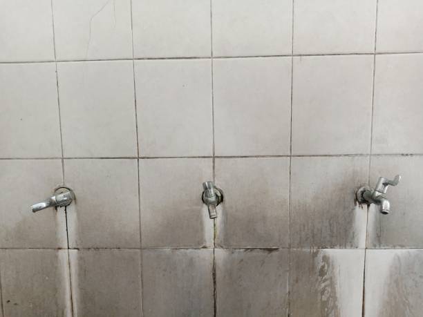 Best Flood damage cleanup  in Frazee, MN