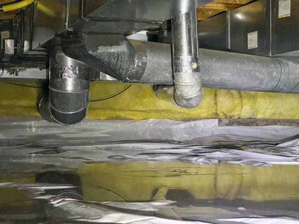 Best Emergency water damage restoration  in Frazee, MN