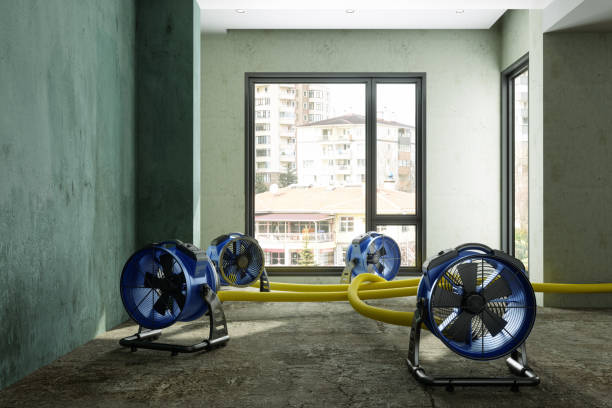 Best 24/7 water damage repair  in Frazee, MN